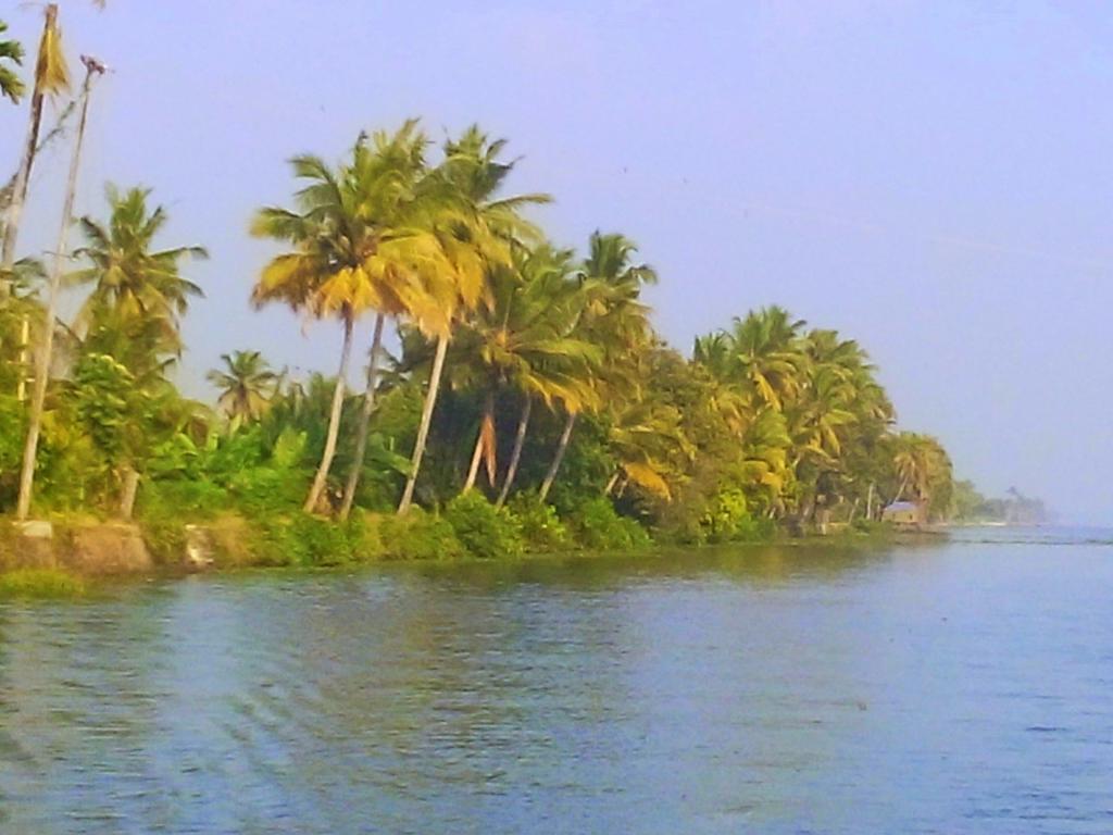 Marari Nest Beach Homestay Mararikulam Exteriör bild