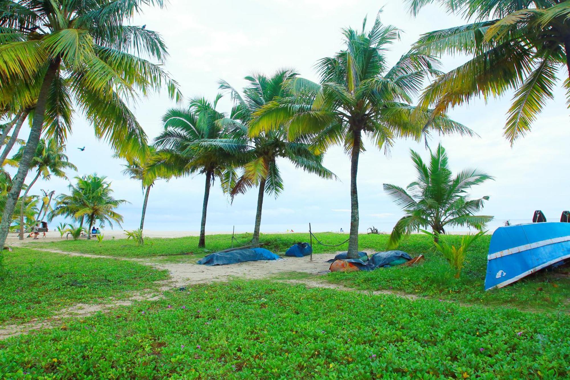 Marari Nest Beach Homestay Mararikulam Exteriör bild
